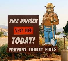 smokey the bear