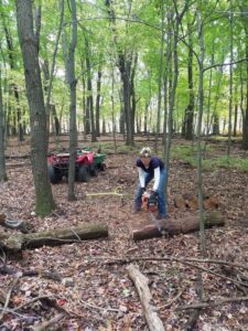 Liz the Lumberjack